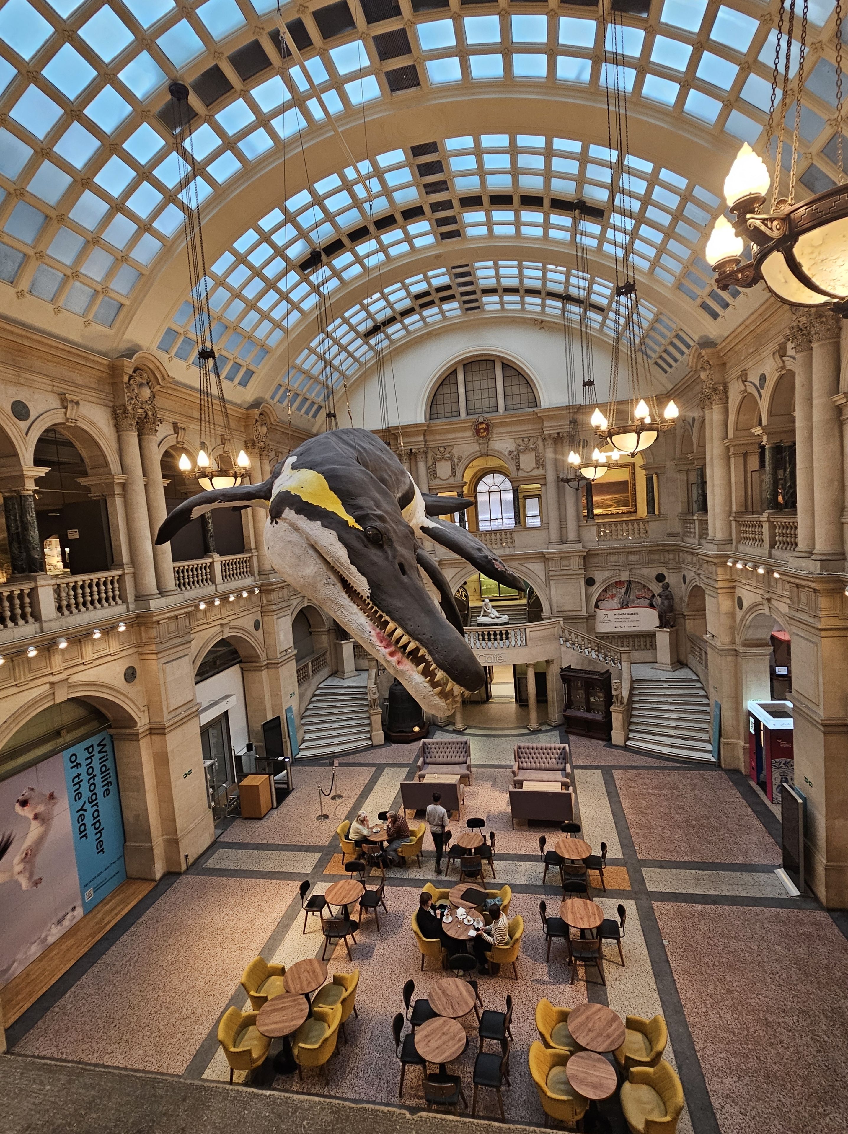 Bristol Museum room with a Plesiosaur replica hanging from the ceiling
